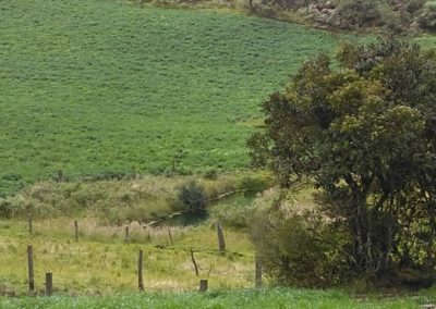 IMG-20190131-WA0082
