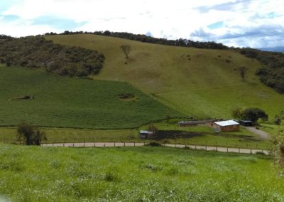 IMG-20190131-WA0086