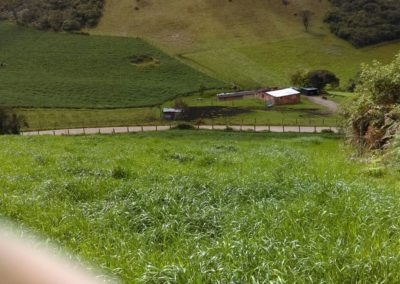 IMG-20190131-WA0088