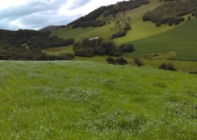 IMG-20190315-WA0059