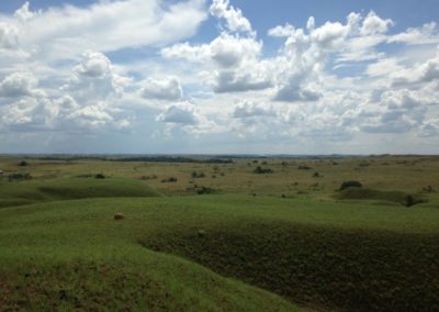 IMG-20190424-WA0236