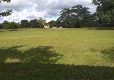 IMG-20190508-WA0020
