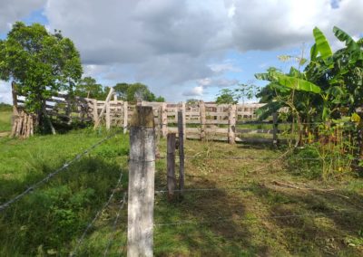 IMG-20190508-WA0022