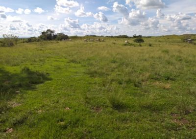 IMG-20190508-WA0031