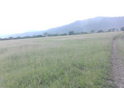 IMG-20190609-WA0012