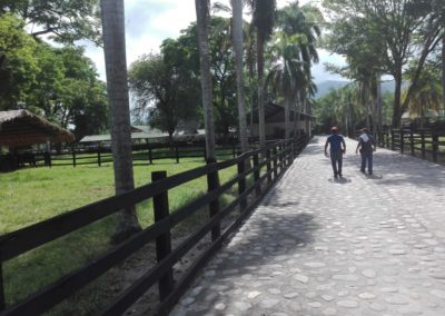 IMG-20190609-WA0014