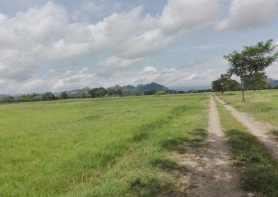 IMG-20190609-WA0018