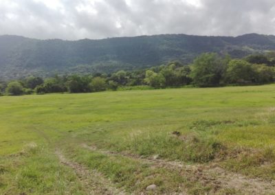 IMG-20190609-WA0022