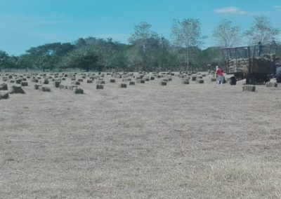 IMG-20190609-WA0046