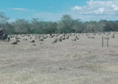 IMG-20190609-WA0047