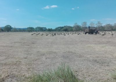IMG-20190609-WA0049