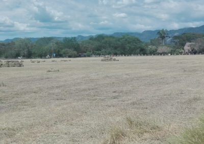 IMG-20190609-WA0050
