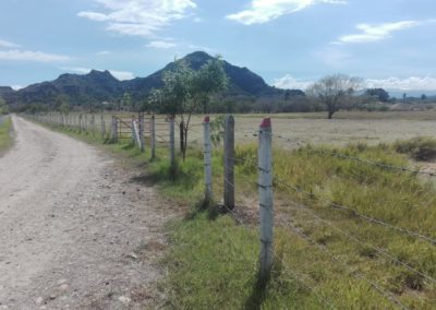 IMG-20190609-WA0053